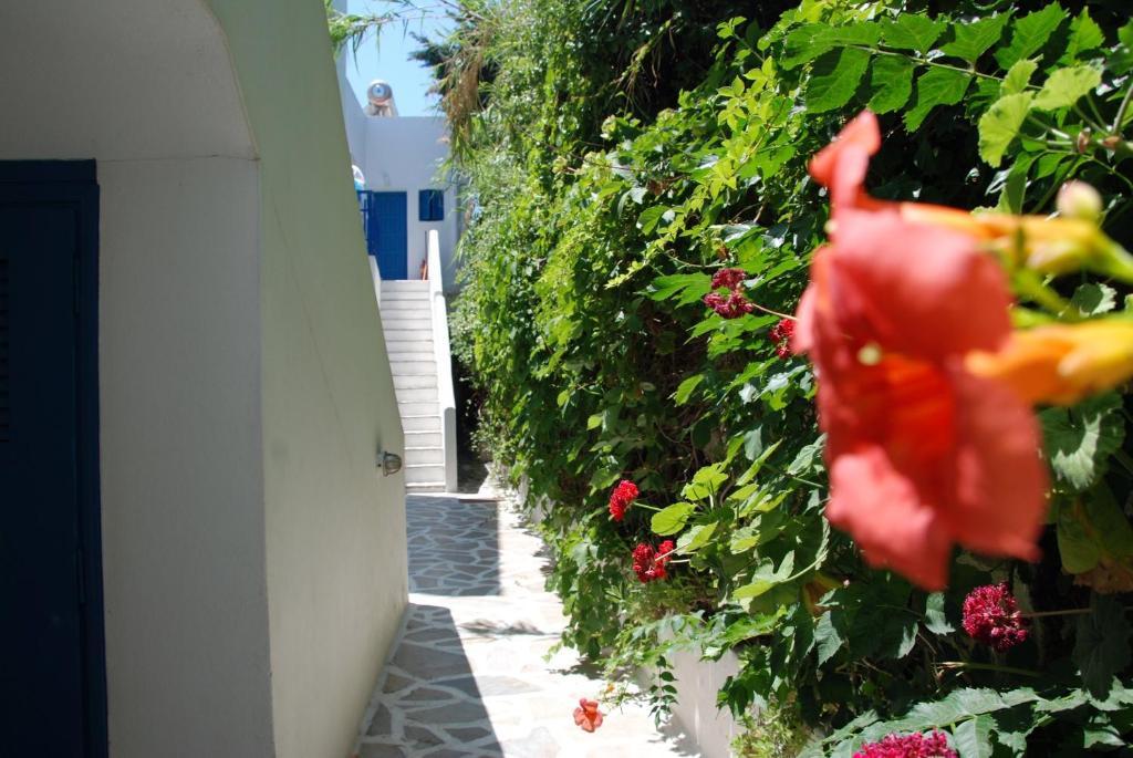 Koulas Pension - Red Lake Agios Prokopios  Exterior photo